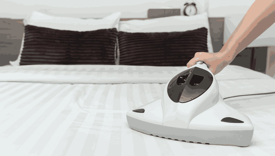Professional Mattress Cleaning Strathmore